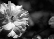 nested / verschachtelt